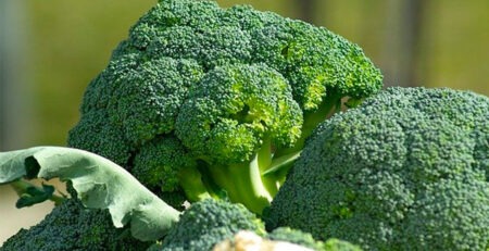 broccoli acido alfa lipoico