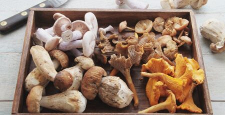 funghi