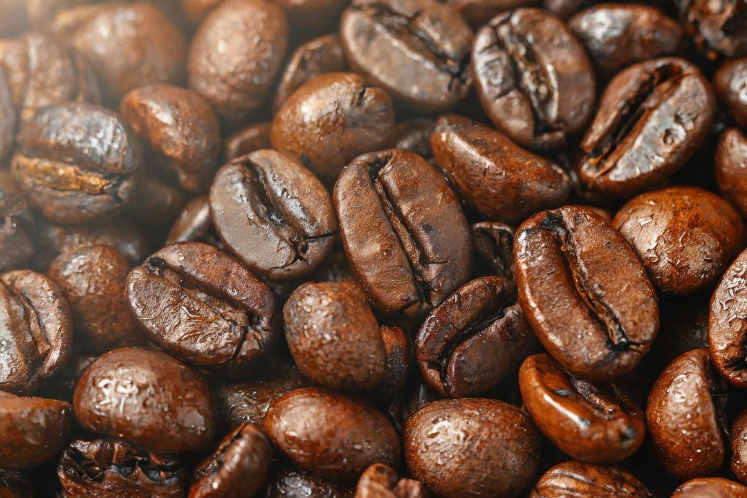 caffè arabica